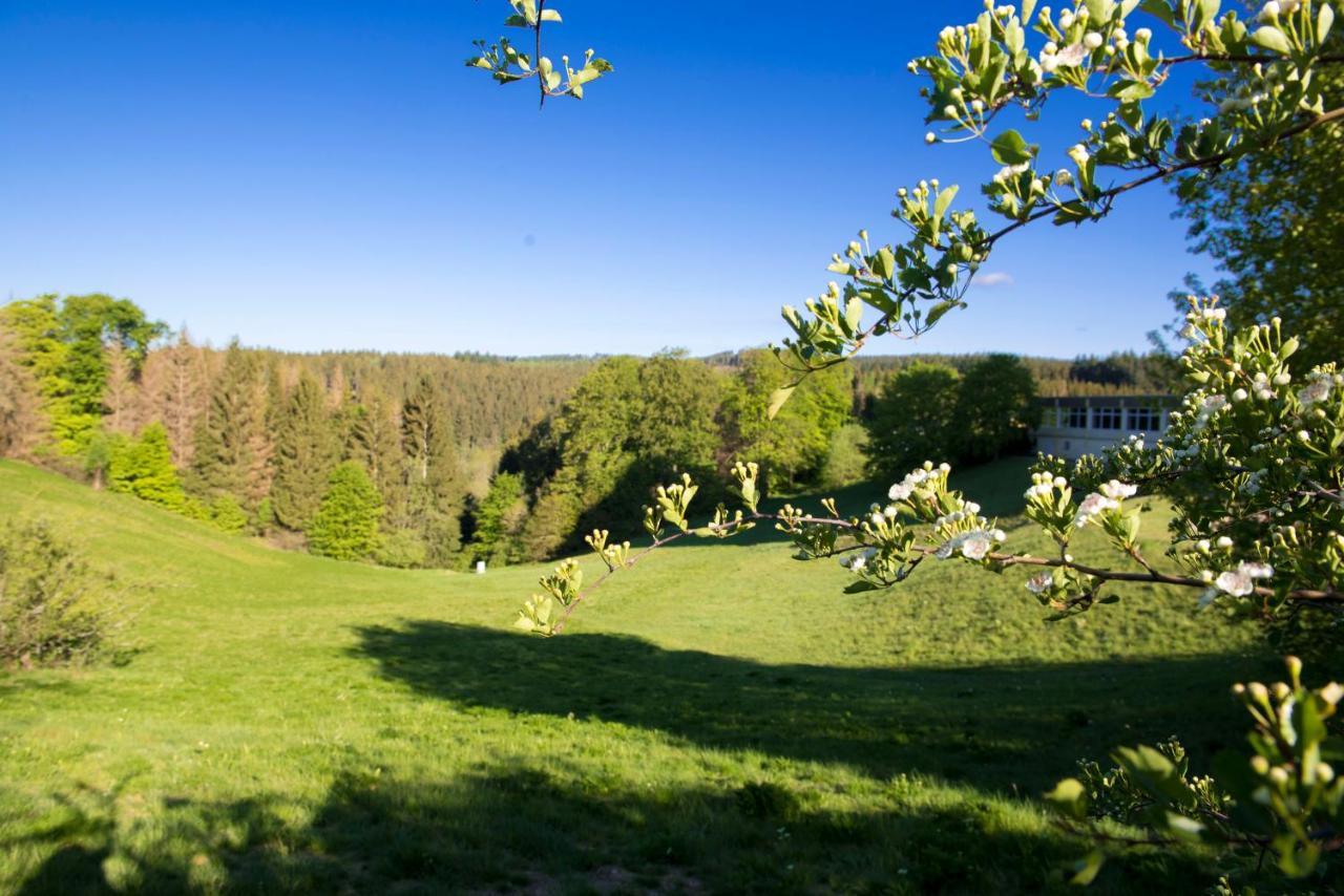 Ferienwohnung App 622 Panoramic Hohegeiß mit WLan Terrassenhaus Braunlage Exterior foto